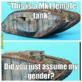 Males had cannons not MGs
