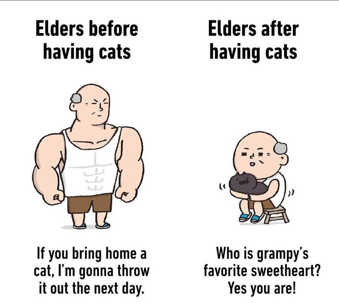 Grandpa noo - meme