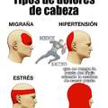 Tipos de dolores de cabeza.