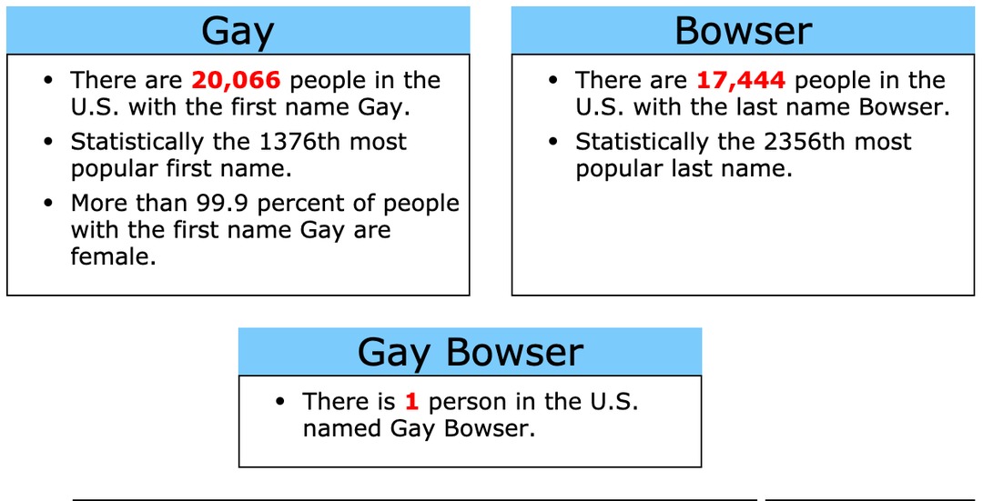 so long gay bowser - meme