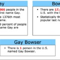 so long gay bowser