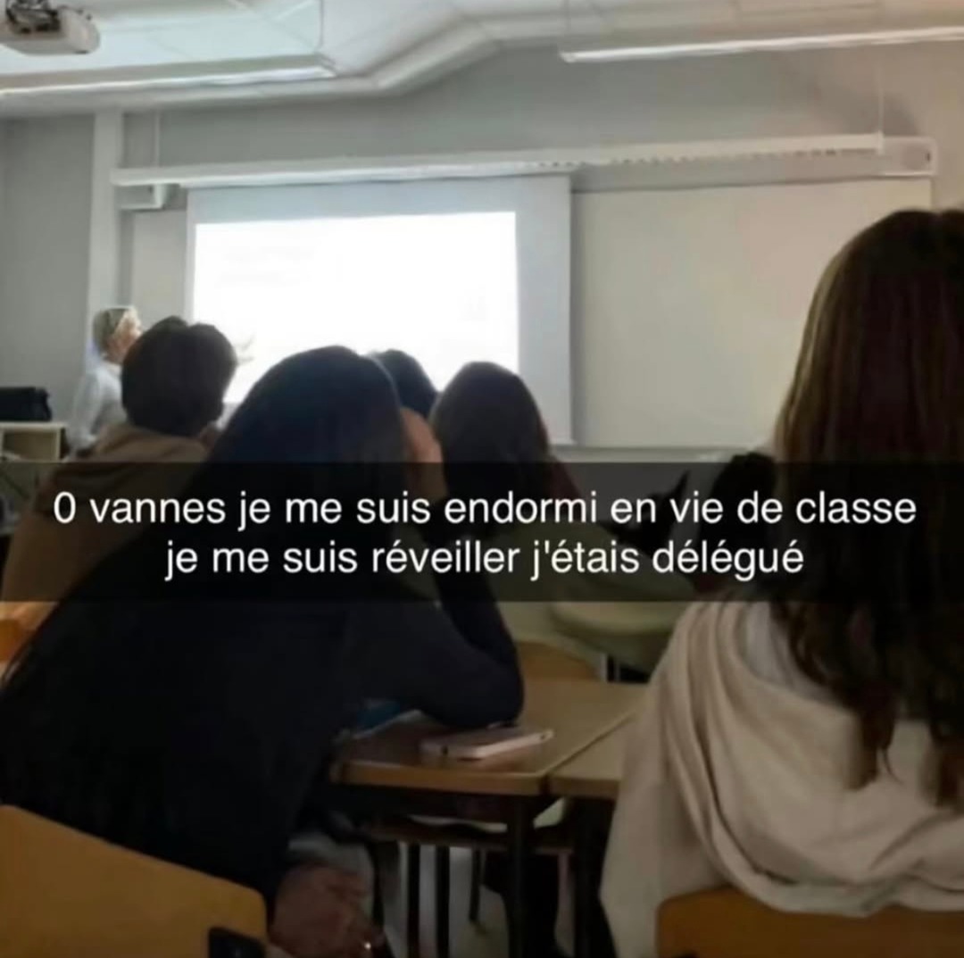 J'ai dormi 5 min en vie de classe, maintenant je suis délégué - meme