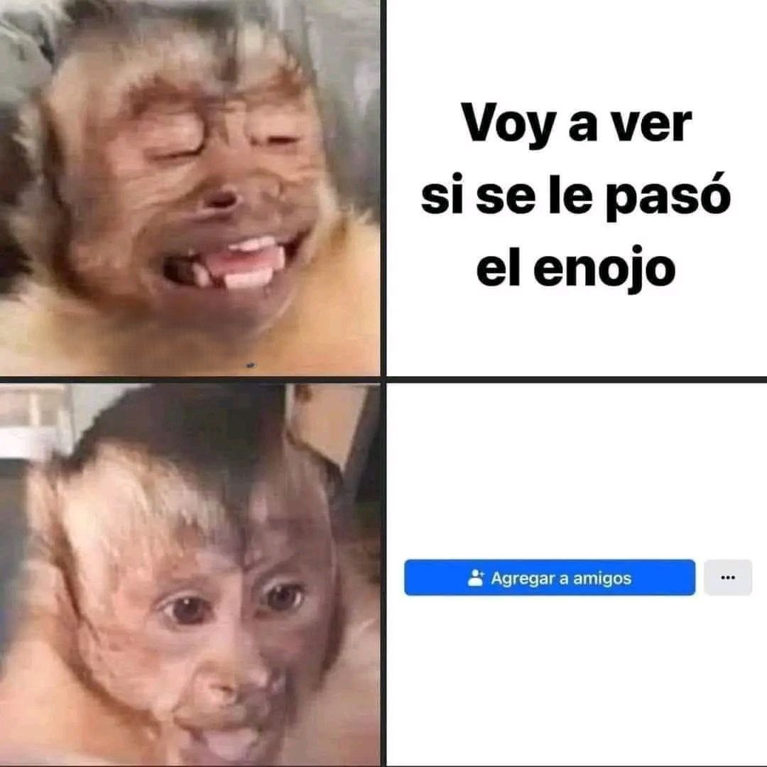 dank memes