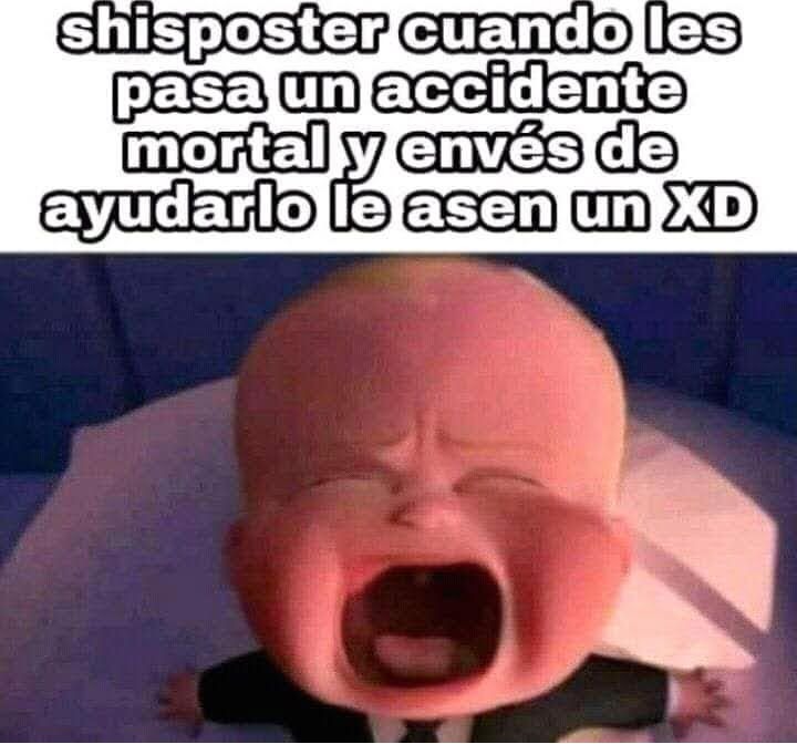 SHITPOSTER - meme