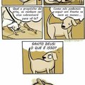 Logica canina