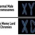 Meme Lord Genes