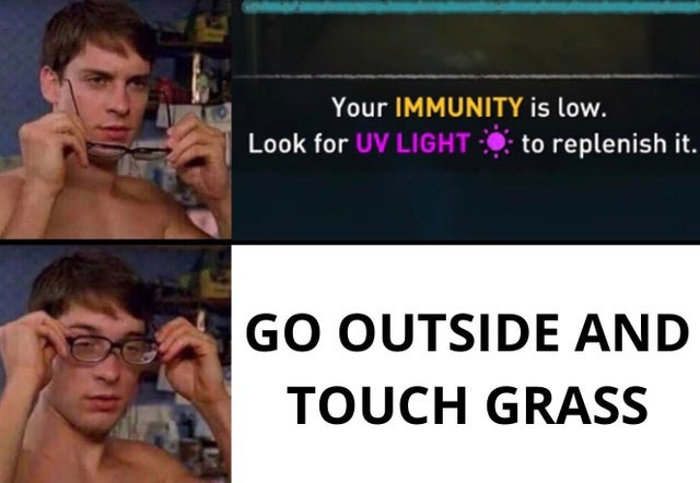 Go outside and touch grass - meme