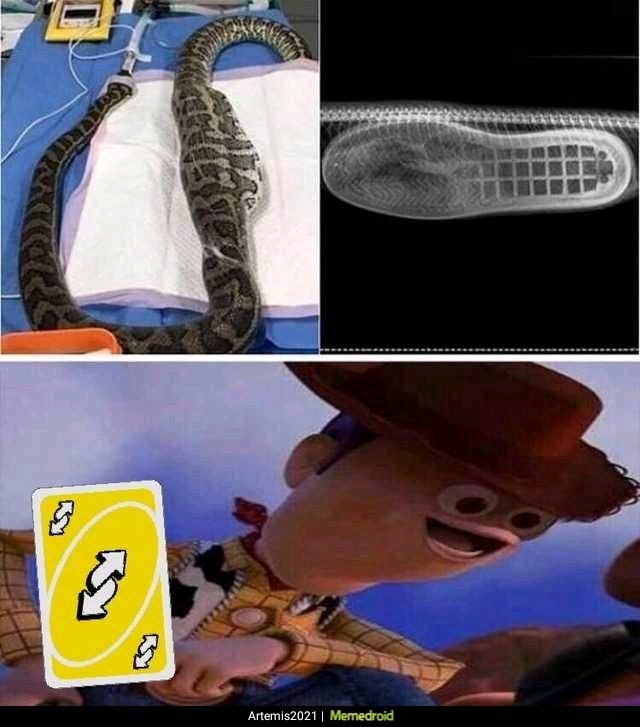 THERES A BOOT IN MAH SNAKE! - meme