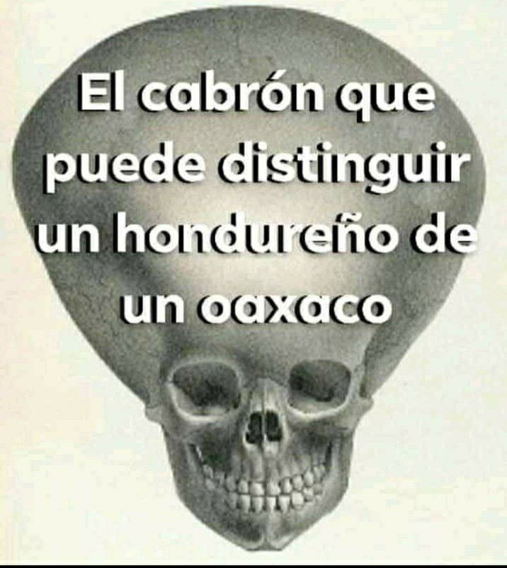 Xq - meme