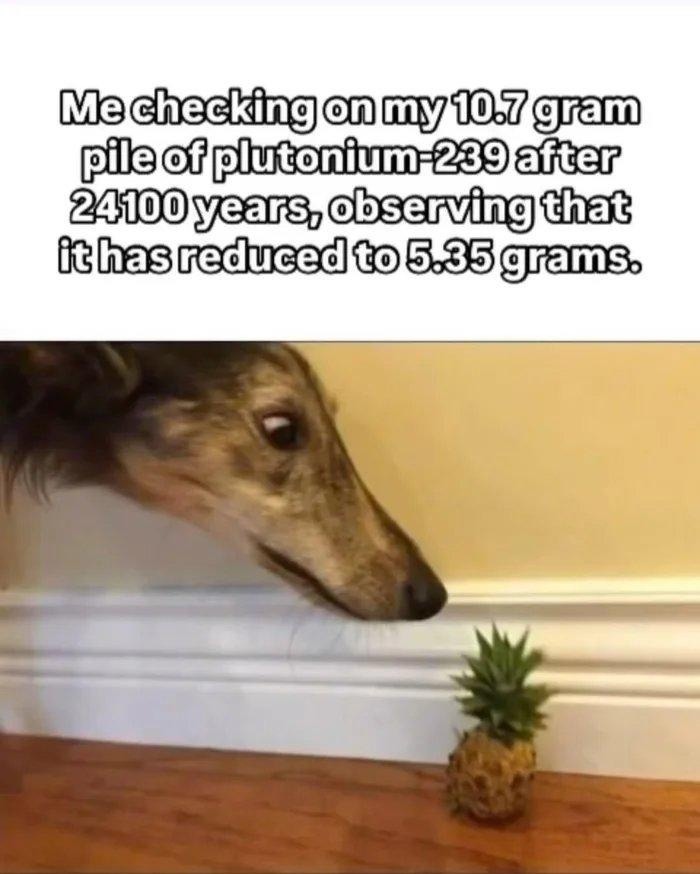 A pile of time, shrinking by the atom - meme