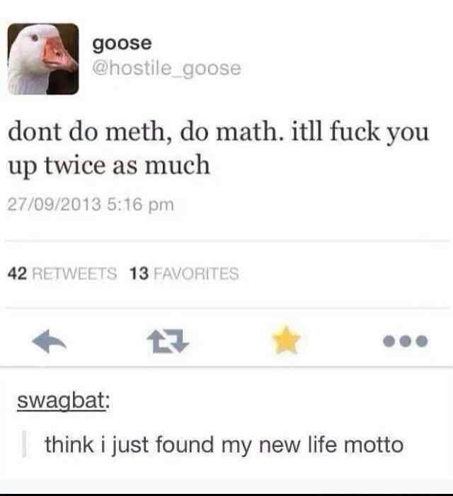 Meth or Math? - meme