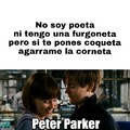 Peter Parker Neruda