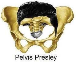 Pelvis Presley - meme