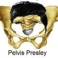 Pelvis Presley