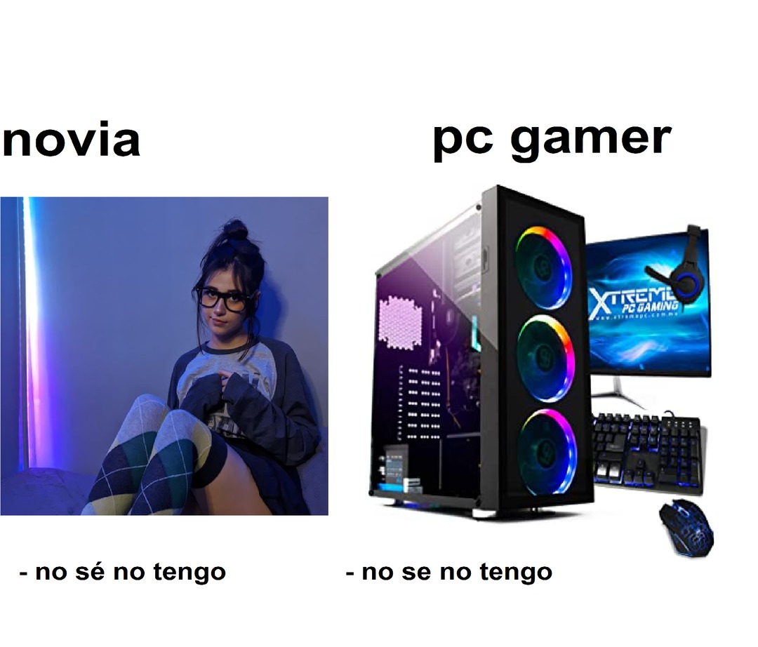 Novia vs PC gamer - meme