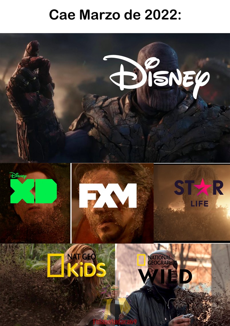 Disney deshaciéndose de sus canales (otra vez) - meme