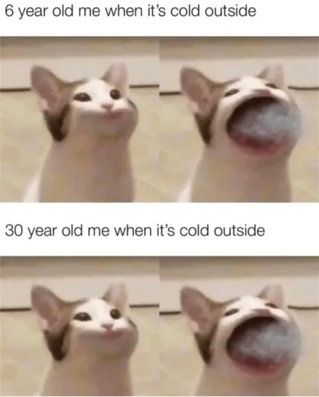Cold meme