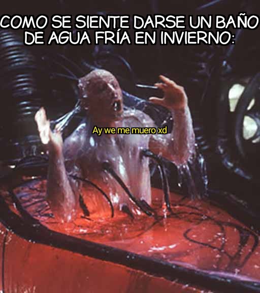 Xd - meme
