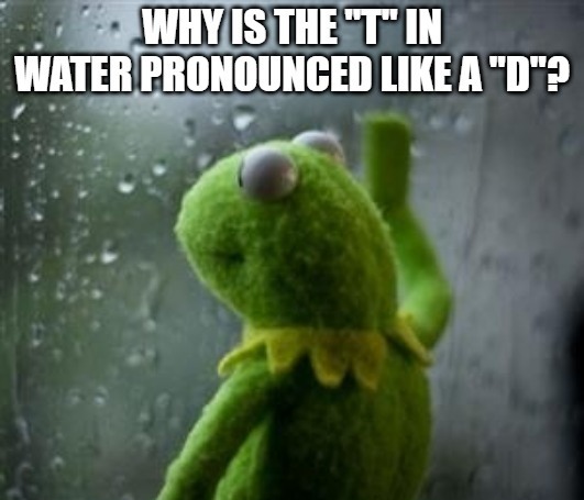 Wadder - meme