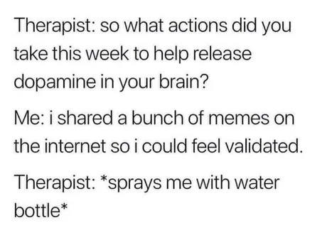 Therapist: dopamine? Me: I posted memes. That counts