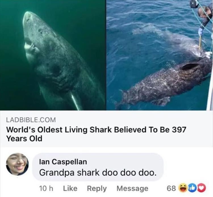 grandpa shark - meme