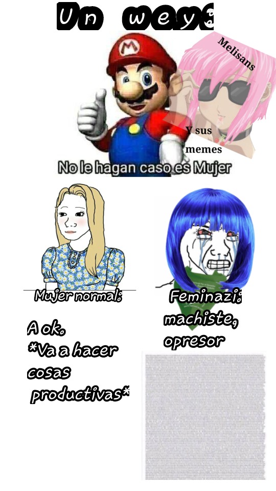 Mujeres normales VS feminaziz ✔︎ - meme