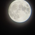 Here's a picture of the moon I took.