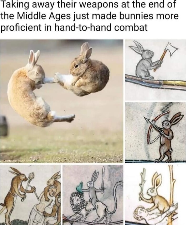 Every bunny was kung fu fighting - meme