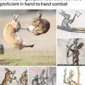 Every bunny was kung fu fighting