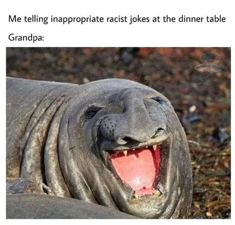 grandpa enjoys them - meme
