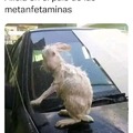 commented item thumbnail