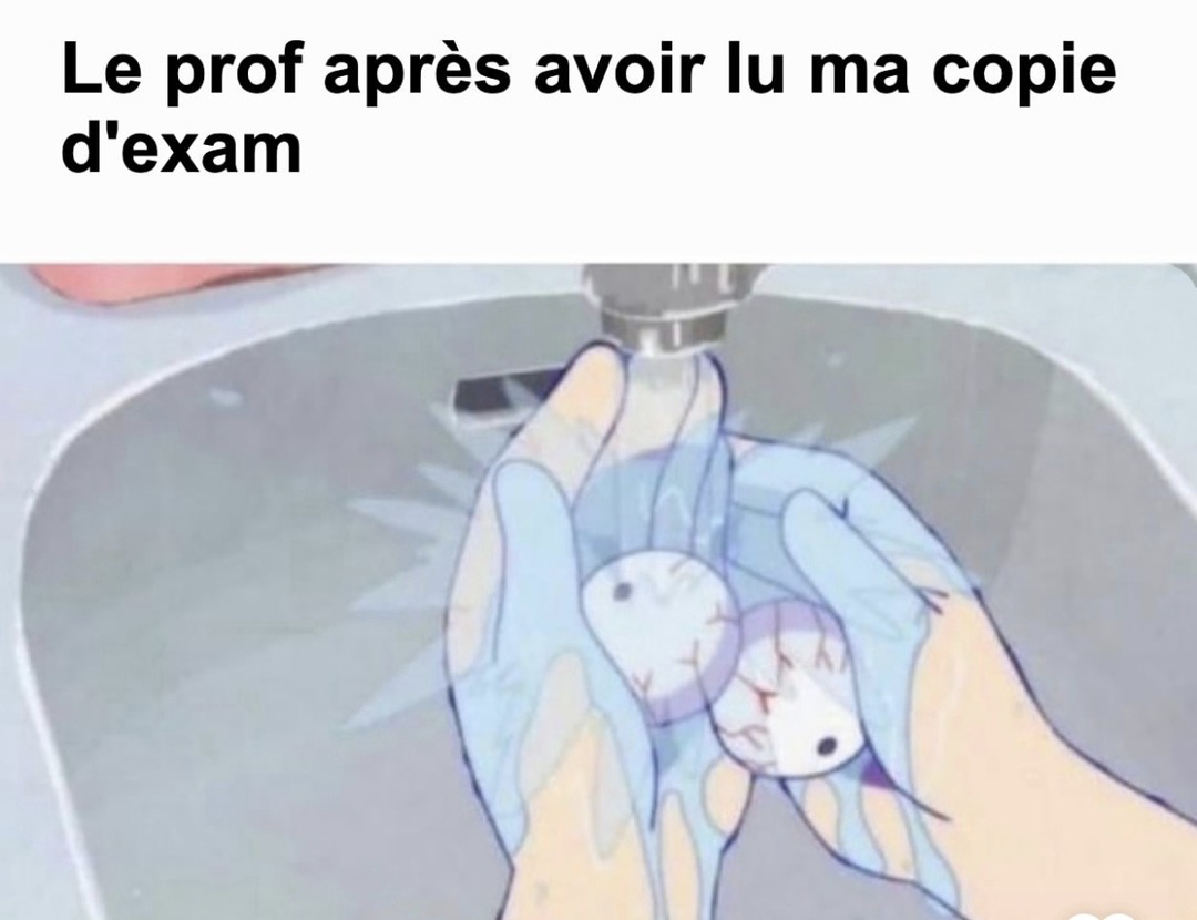 La tête du prof après avoir lu ma copie... c'était du pur freestyle - meme