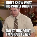 I hope that bird doesn't become popular