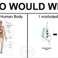 Who Would Win?