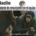 Traducción: Simios juntos fuerte