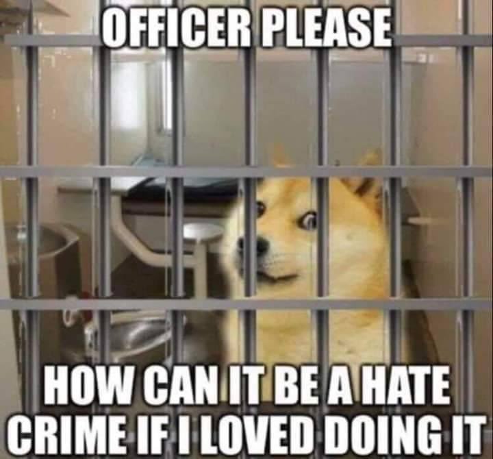 dongs in a crime - meme