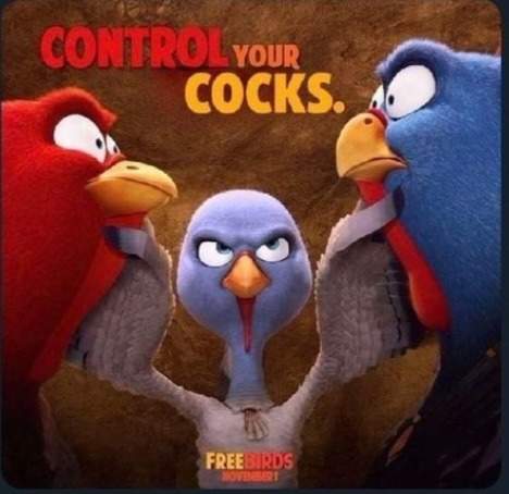 Control your cocks - meme