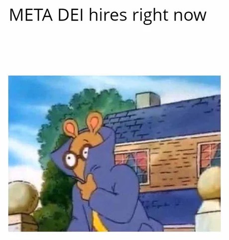 Meta is quitting DEI - meme