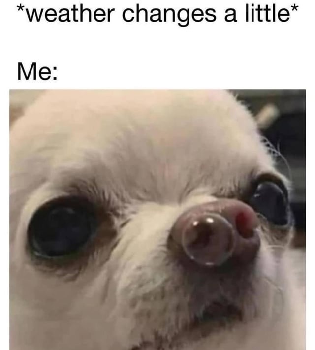 Me after one gust of wind: time to shut it all down - meme