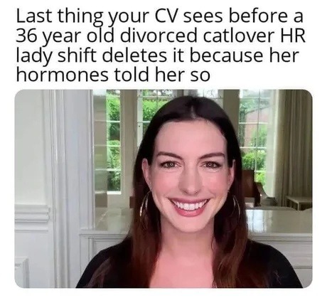 RIP to your CV, deleted by HR Karen - meme