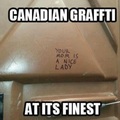Everybody should learn from canadians