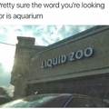 I love going to the liquid zoo