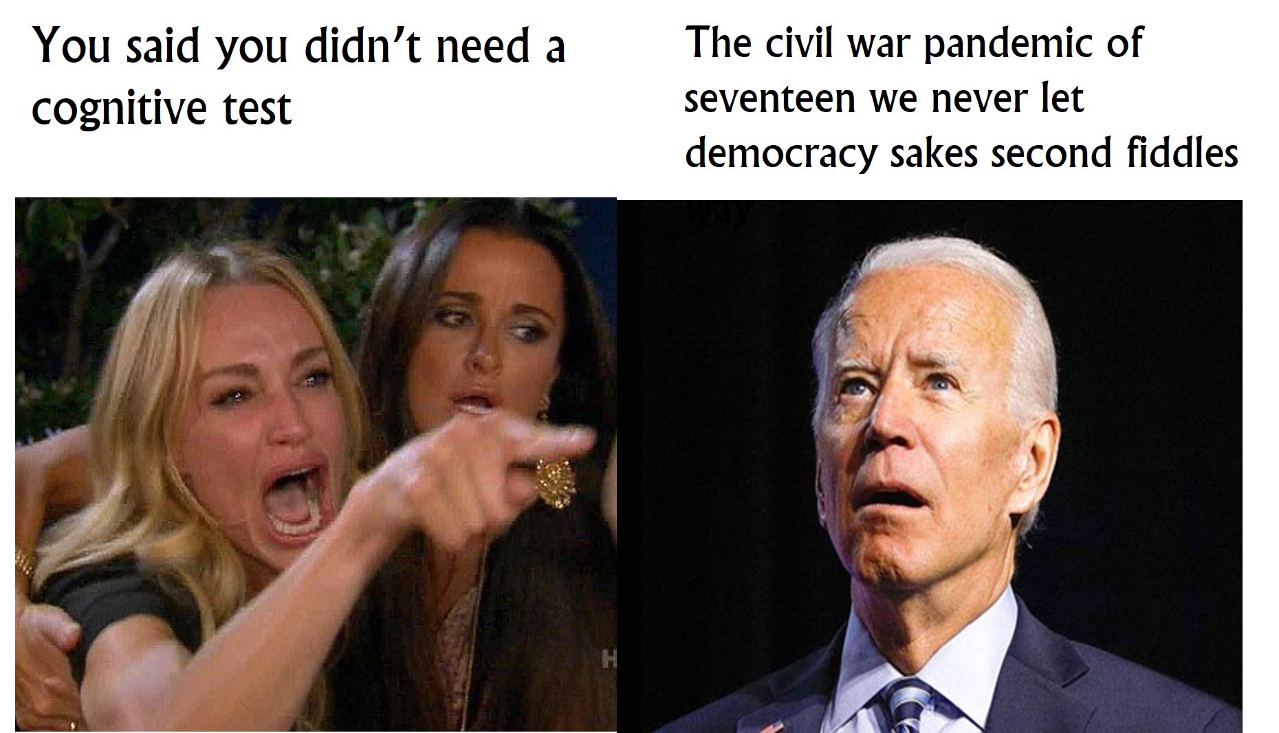 Biden replaces the cat 01 - meme