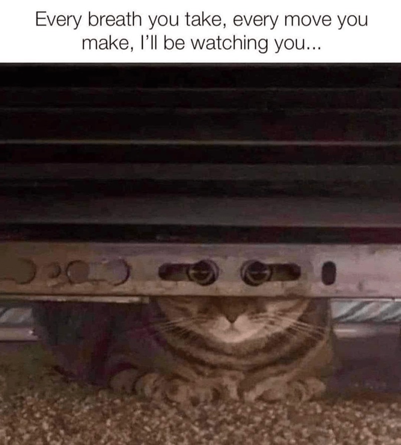 Watching you - meme