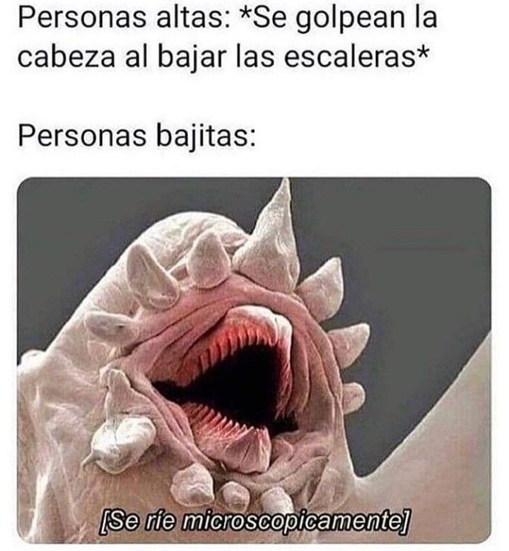 ni modo - meme