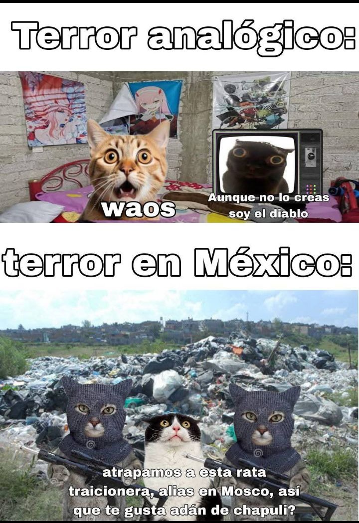 Vamo a  salir en el blogdelnarco Ramirez - meme