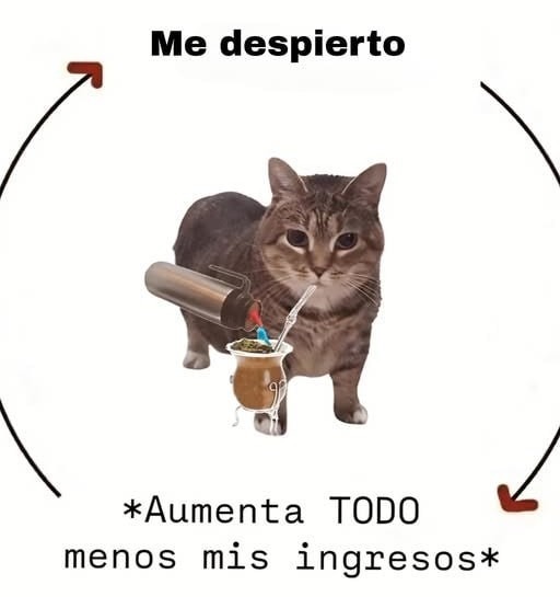 Todo sube menos mi sueldo, qué novedad - meme