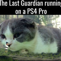 commented item thumbnail