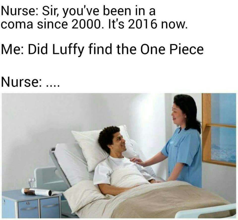 One Piece - meme