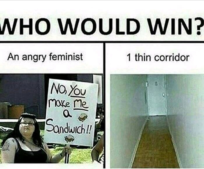 "Thin feminist" 404 not found - meme